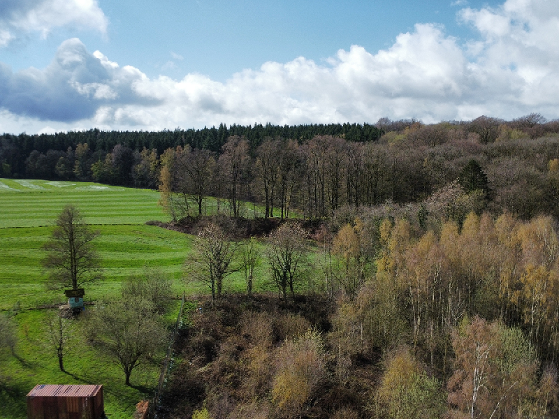 Terrains à vendre à Momignies